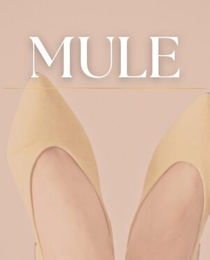 Mule