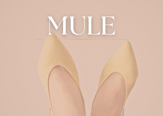 Mule